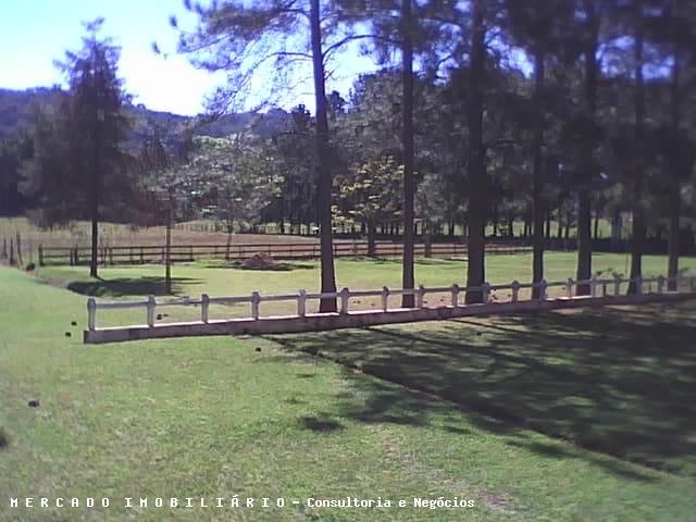 Terreno, 16 hectares - Foto 9
