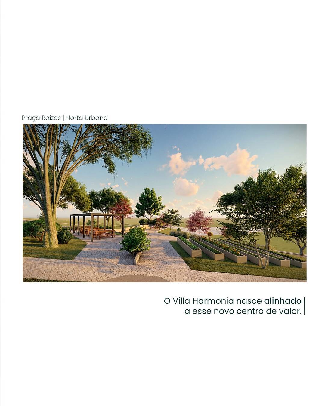 Terreno, 300 m² - Foto 21