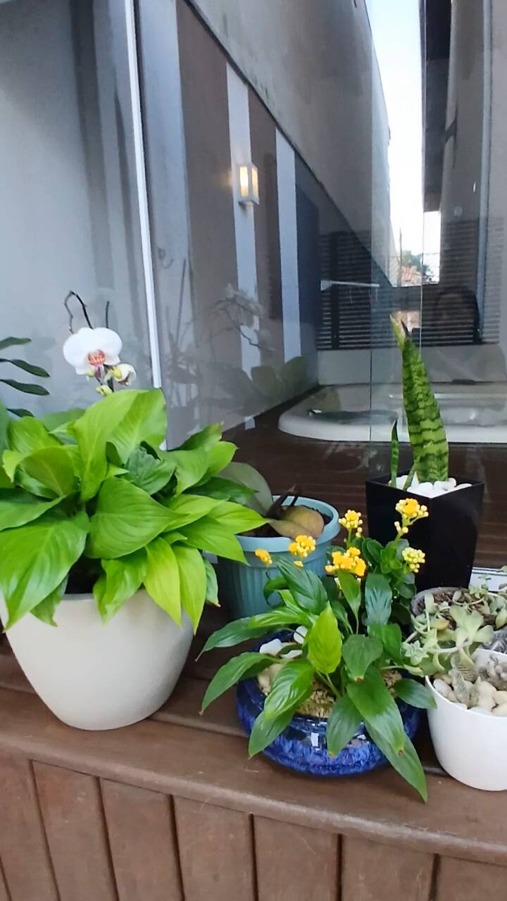Sobrado, 4 quartos, 230 m² - Foto 37