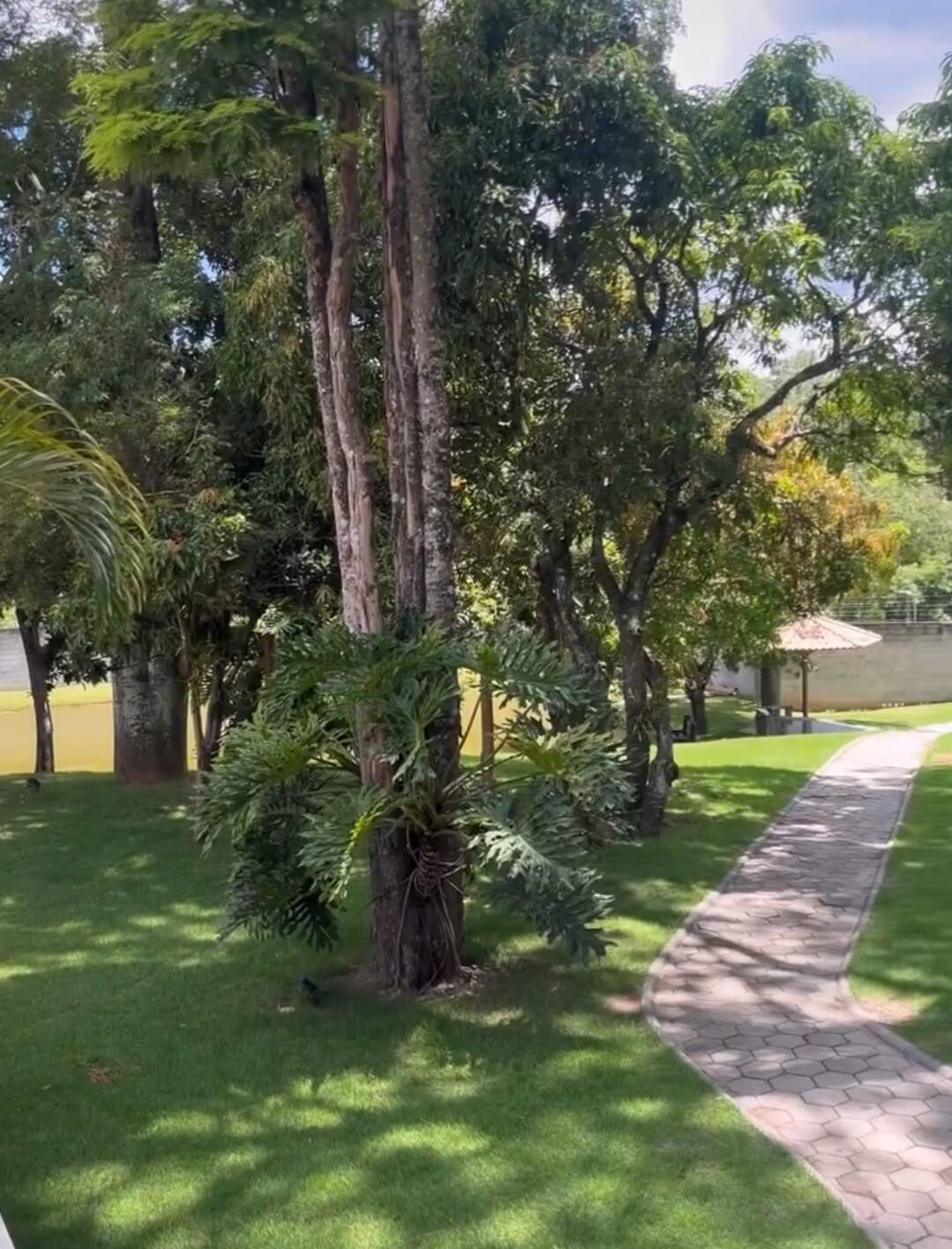 Terreno, 300 m² - Foto 12