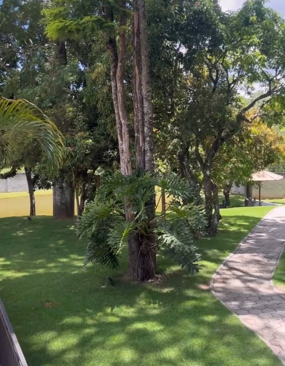 Terreno, 300 m² - Foto 13