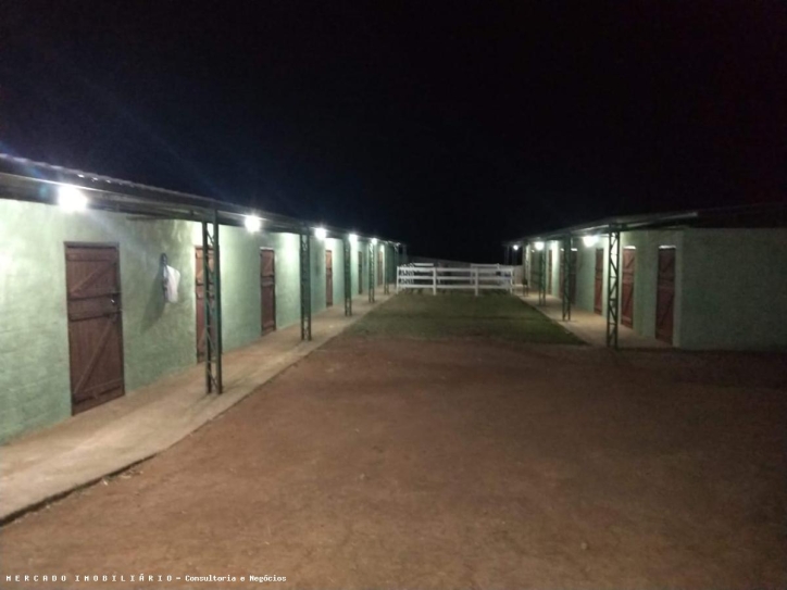 Sítio, 3 quartos, 1 m² - Foto 19
