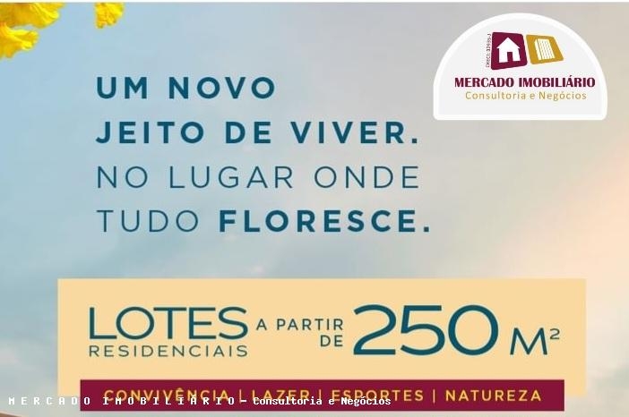 Terreno à venda, 250m² - Foto 4